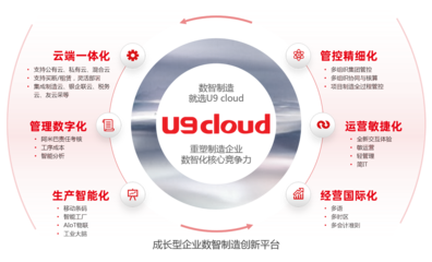 軟件產品的互聯網銷售 策略、優勢與挑戰